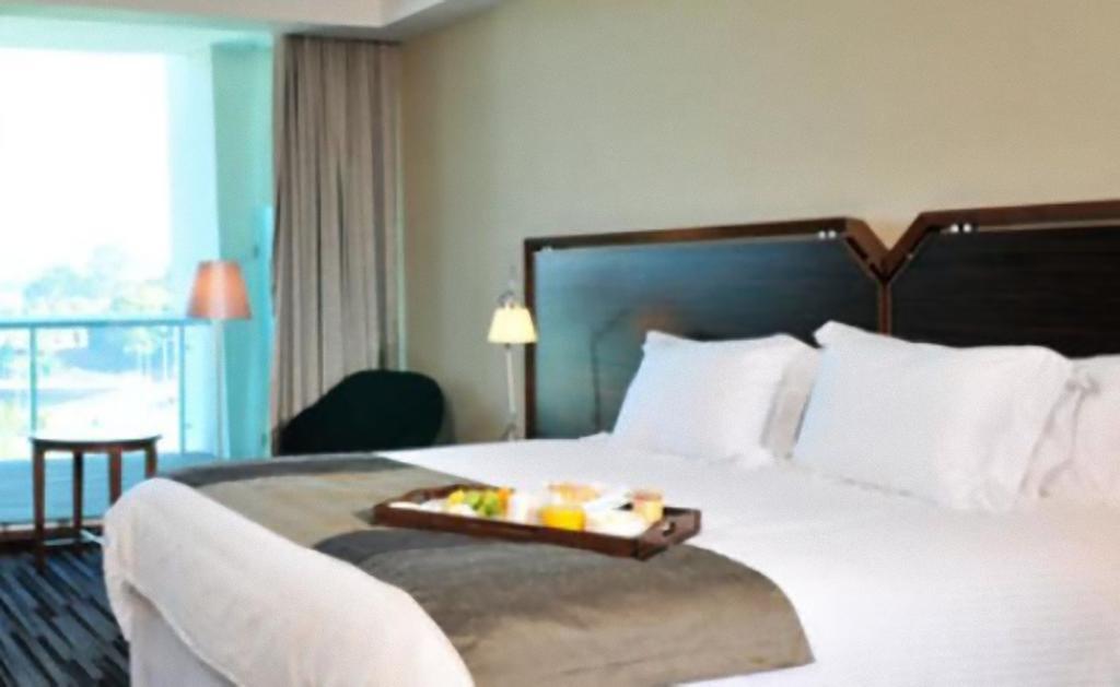 Hotel Dreams וולדיביה מראה חיצוני תמונה A room at the hotel